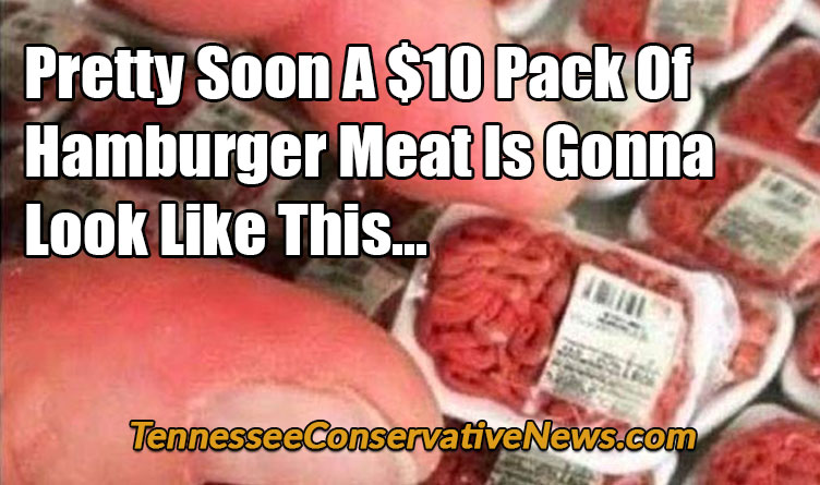 Pretty Soon A $10 Pack Of Hamburger Meat Is Gonna Look Like This... Tiny Food Meme