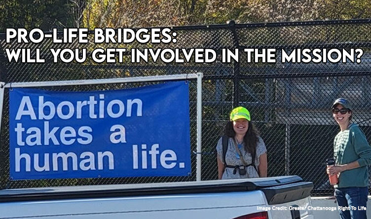 Pro-Life Bridges: Will You Get Involved In The Mission?