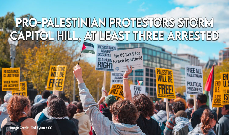 Pro-Palestinian Protestors Storm Capitol Hill, At Least Three Arrested