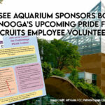 Tennessee Aquarium Sponsors Booth at Chattanooga’s Upcoming Pride Festival, Recruits Employee Volunteers