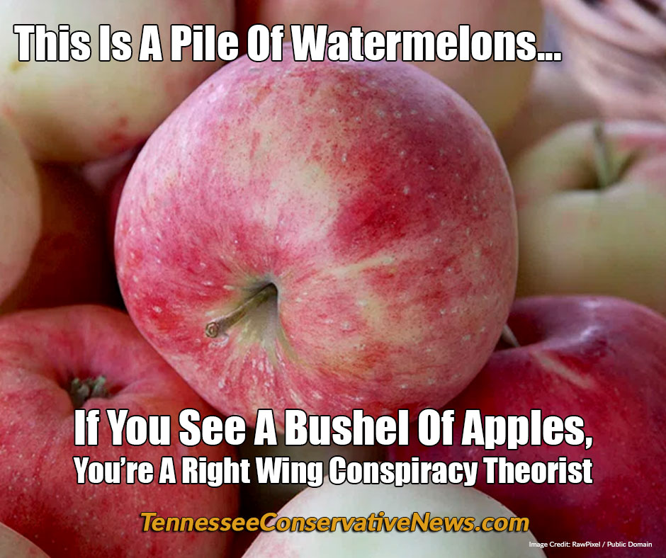 This Is A Pile Of Watermelons... If You See A Bushel Of Apples, 
You’re A Right Wing Conspiracy Theorist - Meme