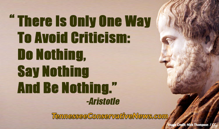 There Is Only One Way To Avoid Criticism: Do Nothing, Say Nothing And Be Nothing. - Aristotle quote meme