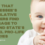 Pray That Tennessee's Legislative Leaders Find Courage To Defend State's Model Pro-Life Policies