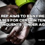 Republican Rep Aims To Ban Firearm Purchases For Certain Tennessee "Delinquents" Under Age 25