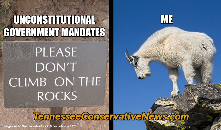 Unconstitutional Government Mandates & Me... Meme