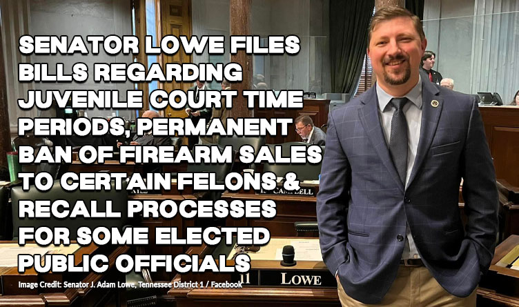 Senator Lowe Files Bills Regarding Juvenile Court Time Periods, Permanent Ban Of Firearm Sales To Certain Felons And Recall Processes For Some Elected Public Officials