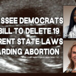 Tennessee Democrats File Bill to Delete 19 Different State Laws Regarding Abortion