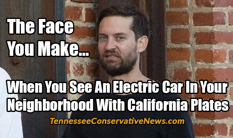 The Face You Make... When You See An Electric Car In Your Neighborhood With California Plates - Meme