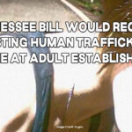 Tennessee Bill Would Require Posting Human Trafficking Hotline At Adult Establishments
