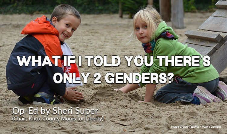 What If I Told You There’s Only 2 Genders?