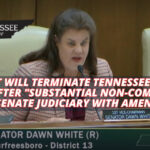 Bill That Will Terminate Tennessee Parents Rights After "Substantial Non-Compliance" Passes Senate Judiciary With Amendments