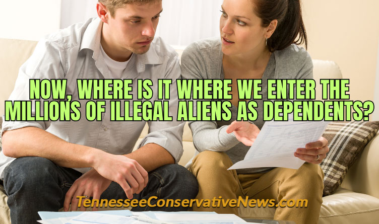 Now, Where Is It Where We Enter The Millions Of Illegal Aliens As Dependents? - Income Tax Meme