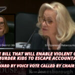 Tennessee Bill That Will Enable Violent Offenders Who Murder Kids To Escape Accountability Moves Forward By Voice Vote Called By Chair Iris Rudder
