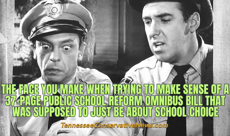 The face you make when trying to make sense of a 37-page public school reform omnibus bill that was supposed to just be about school choice - Meme