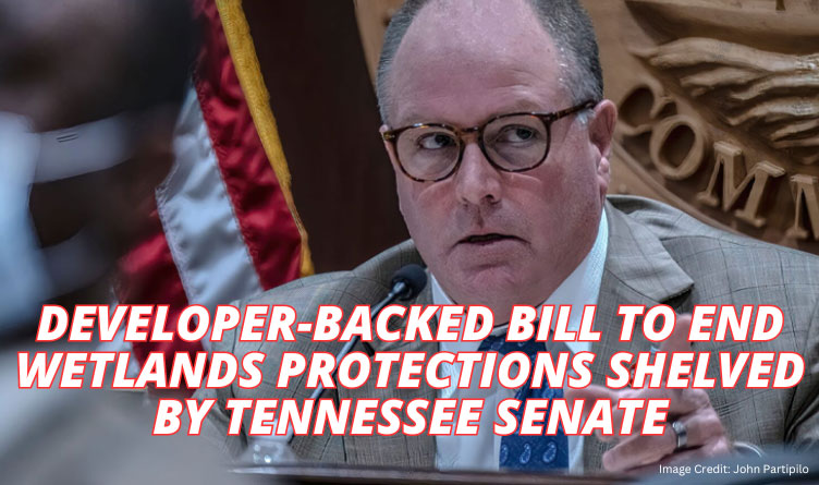 Developer-Backed Bill To End Wetlands Protections Shelved By Tennessee Senate