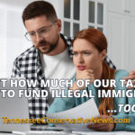 So... Just How Much Of Our Tax Bill Is Going To Fund Illegal Immigrants? ...Too Much - Meme