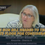Red Flag Gun Bill Headed To Tennessee Senate Floor For Consideration