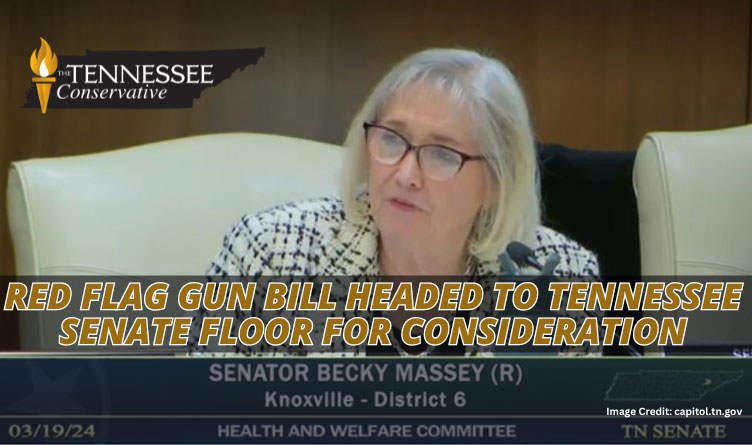 Red Flag Gun Bill Headed To Tennessee Senate Floor For Consideration