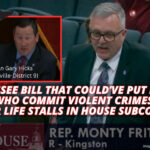 Tennessee Bill That Could’ve Put Illegal Aliens Who Commit Violent Crimes Behind Bars For Life Stalls In House Subcommittee