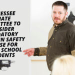 Tennessee Senate Committee To Consider Mandatory Handgun Safety Course For Public School Students