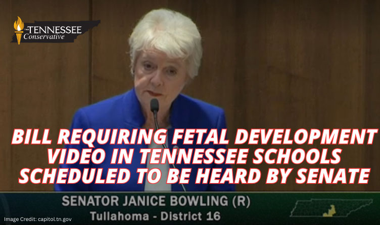 Bill Requiring Fetal Development Video In TN Schools Scheduled To Be Heard By Senate