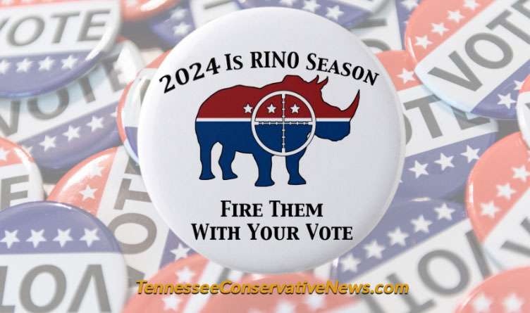 2024 Is RINO Season - Fire Them With Your Vote - Meme