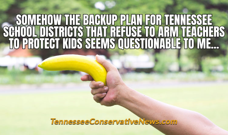 Somehow The Backup Plan For Tennessee School Districts That Refuse To Arm Teachers To Protect Kids Seems Questionable To Me... Meme