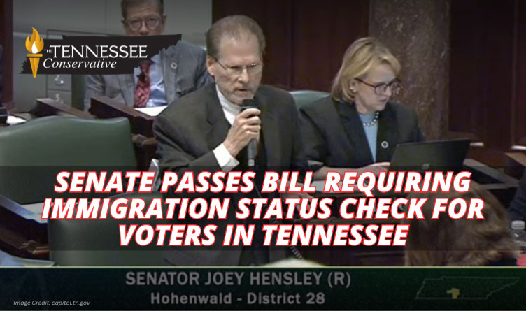 Senate Passes Bill Requiring Immigration Status Check For Voters In Tennessee