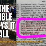 The Bible Says It All...