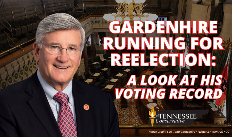 Gardenhire Running For Reelection: A Look At His Voting Record