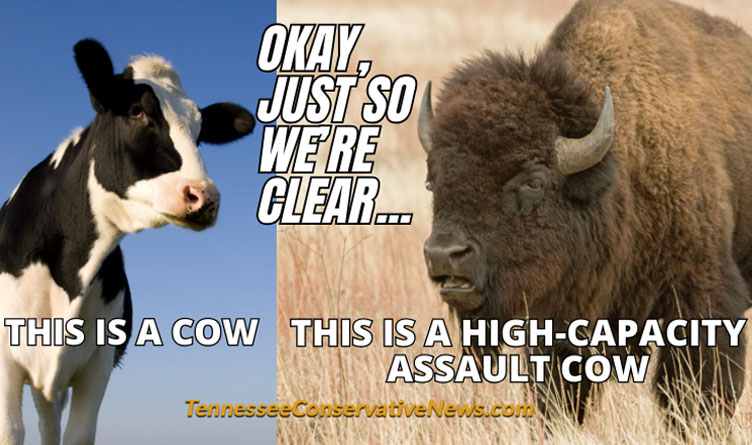 Just So We're Clear... This Is A Cow - This Is A High-Capacity Assault Cow - Meme