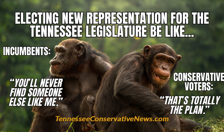 Electing New Representation For The Tennessee Legislature Be Like... Incumbents: “You’ll Never Find Someone Else Like Me.” Conservative Voters: “That’s Totally The Plan.” - Meme