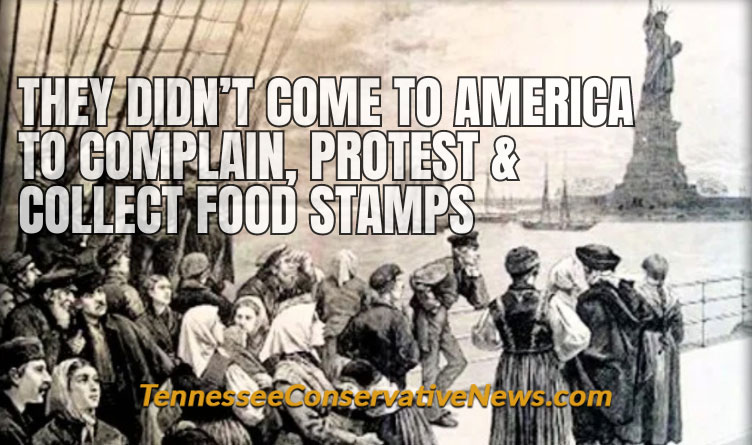 They Didn't Come To America To Complain, Protest & Collect Food Stamps - European Immigrants Meme