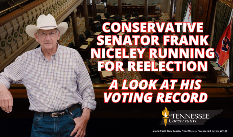 Conservative Senator Frank Niceley Running For Reelection: A Look At His Voting Record