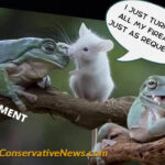 I Just Turned In All My Firearms Just As Requested... Government Meme