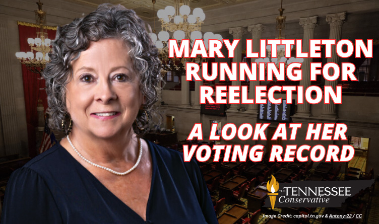 Mary Littleton Running For Reelection: A Look At Her Voting Record