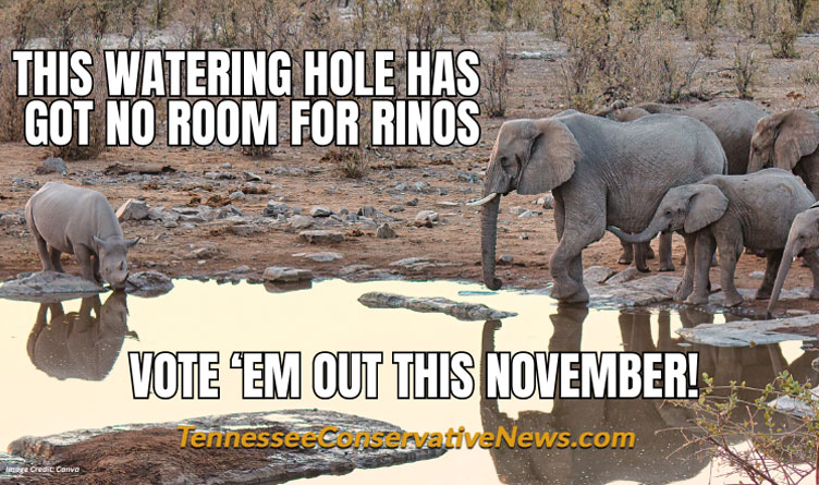This Watering Hole Has Got No Room For RINOs - Vote 'Em Out This November! Meme
