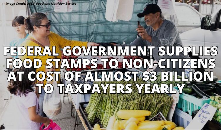 Federal Government Supplies Food Stamps To Non-Citizens At Cost Of Almost $3 Billion To Taxpayers Yearly