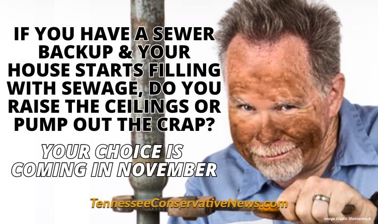 If You Have A Sewer Backup & Your House Starts Filling With Sewage, Do You Raise The Ceilings Or Pump Out The Crap? Your Choice Is Coming In November - Meme