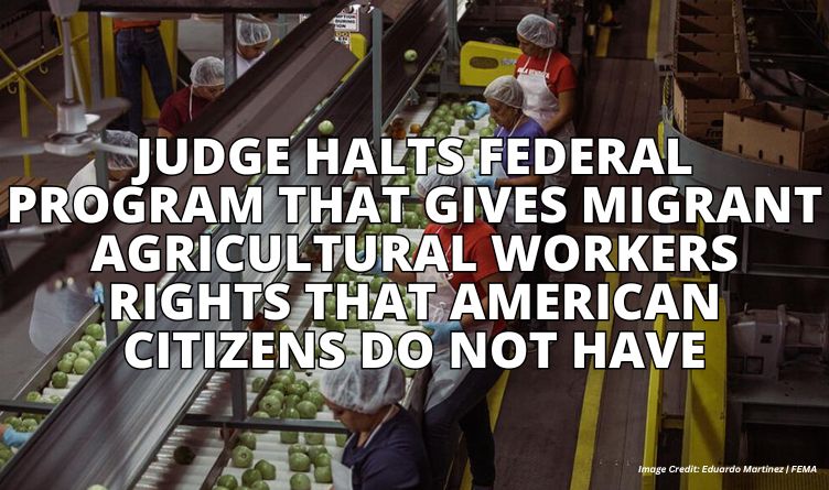 Judge Halts Federal Program That Gives Migrant Agricultural Workers Rights That American Citizens Do Not Have