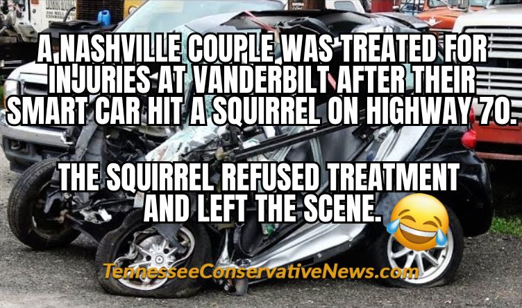 A Nashville Couple Was Treated For Injuries At Vanderbilt After Their Smart Car Hit A Squirrel on Highway 70. The Squirrel Refused Treatment And Left The Scene. - Meme