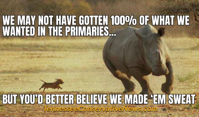 We May Not Have Gotten 100% Of What We Wanted In The Primaries... But You'd Better Believe We Made 'Em Sweat - Meme Little dog chasing Rhino