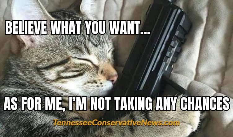 Believe What You Want... As For Me I'm Not Taking Any Chances - Meme - Haitians Cat Gun