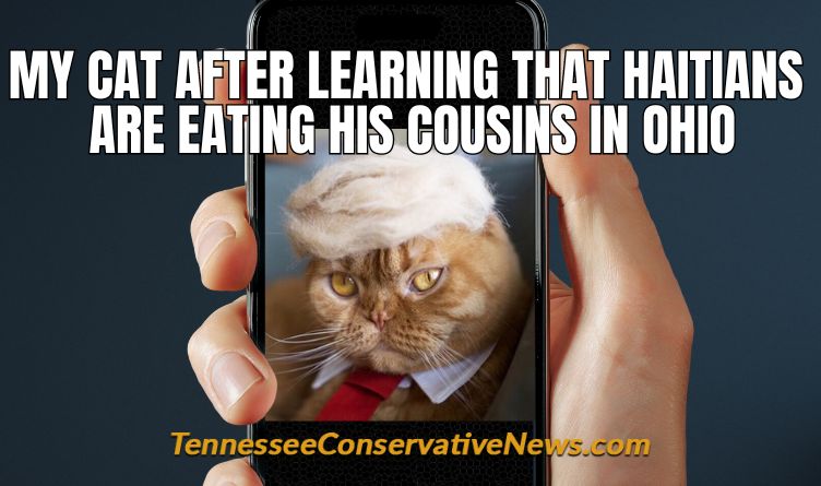 My Cat After Learning That Haitians Are Eating His Cousins In Ohio - Meme - Trump Cat