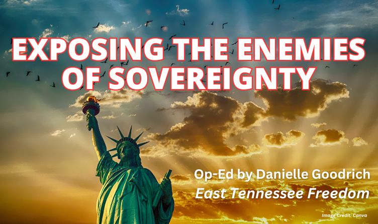 Exposing The Enemies Of Sovereignty