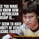 That Face You Make When You Know How Shady Tennessee Republican Leadership Is... But They Seem To Have The Majority of Other Republicans Fooled - Meme
