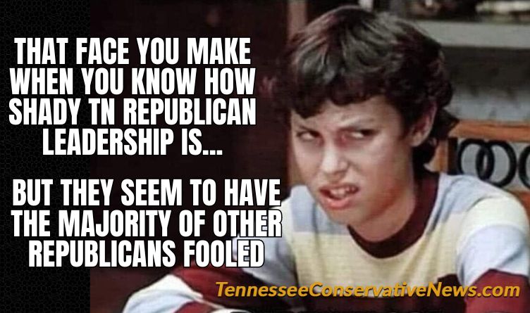 That Face You Make When You Know How Shady Tennessee Republican Leadership Is... But They Seem To Have The Majority of Other Republicans Fooled - Meme