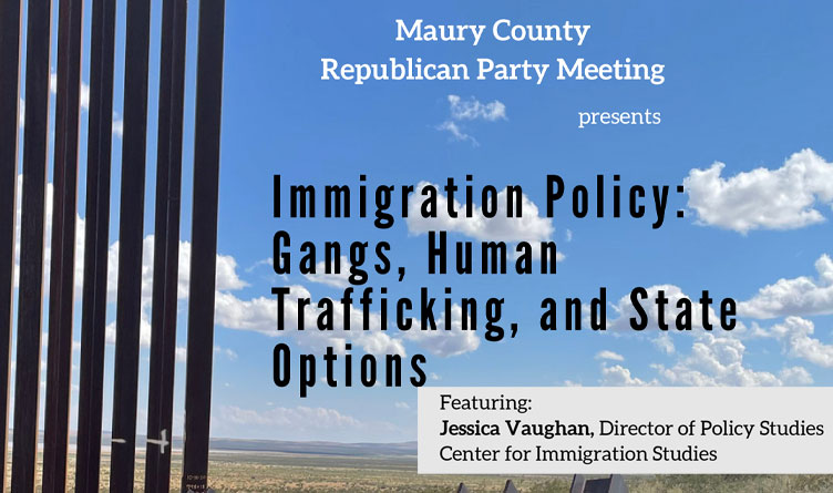 Immigration Policy: Gangs, Human Trafficking And State Options