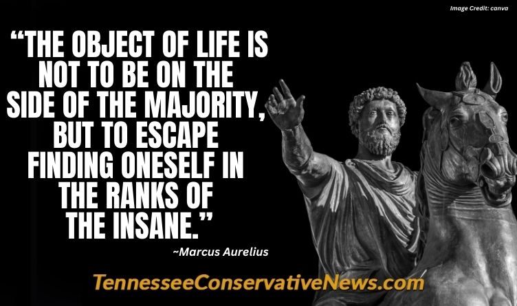 “The object of life is not to be on the side of the majority, but to escape finding oneself in the ranks of the insane.” ~Marcus Aurelius quote meme