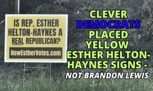 Clever Democrats Placed Yellow Esther Helton-Haynes Signs - Not Brandon Lewis